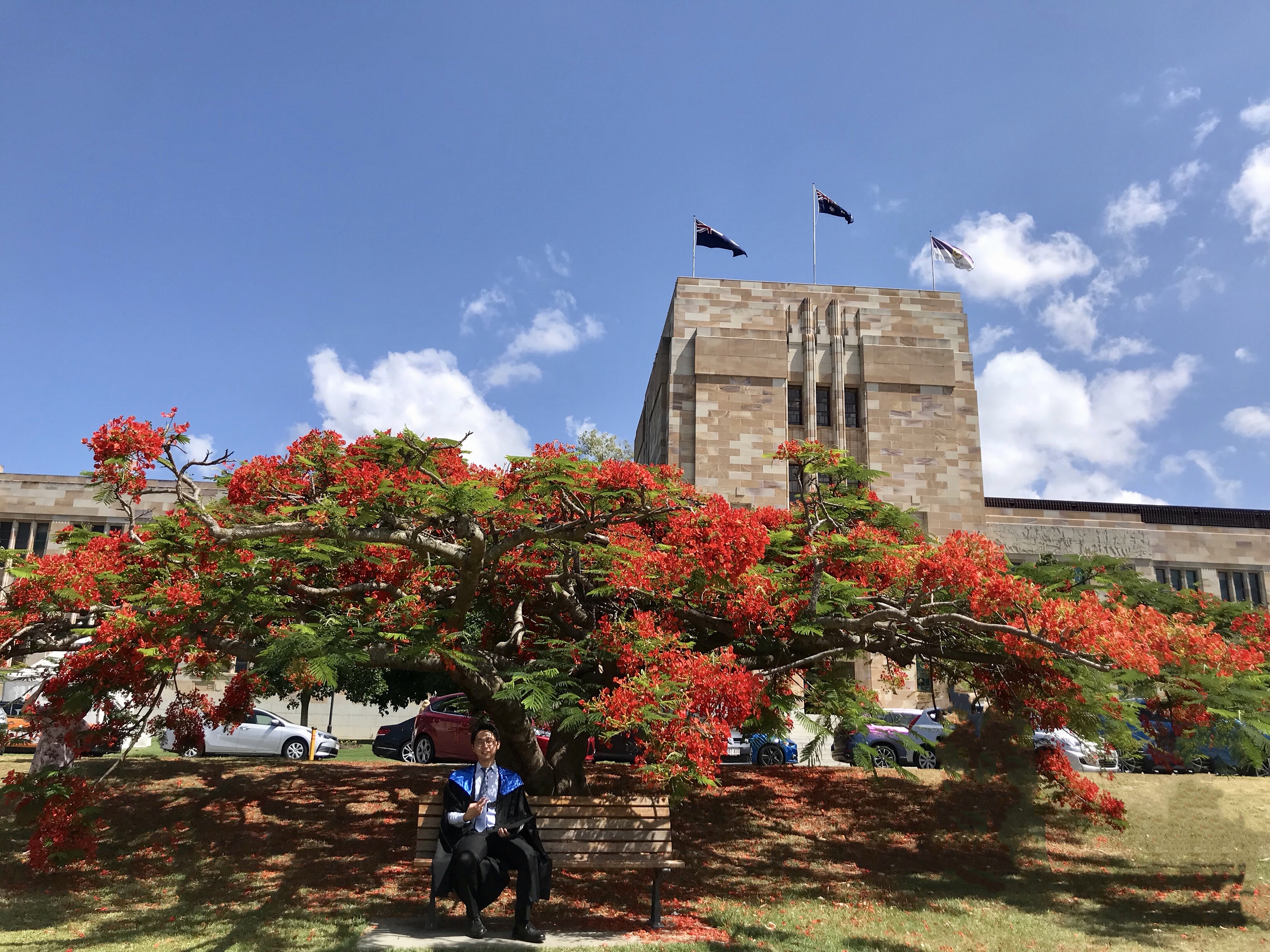 A campus building beside a tree with red flowers