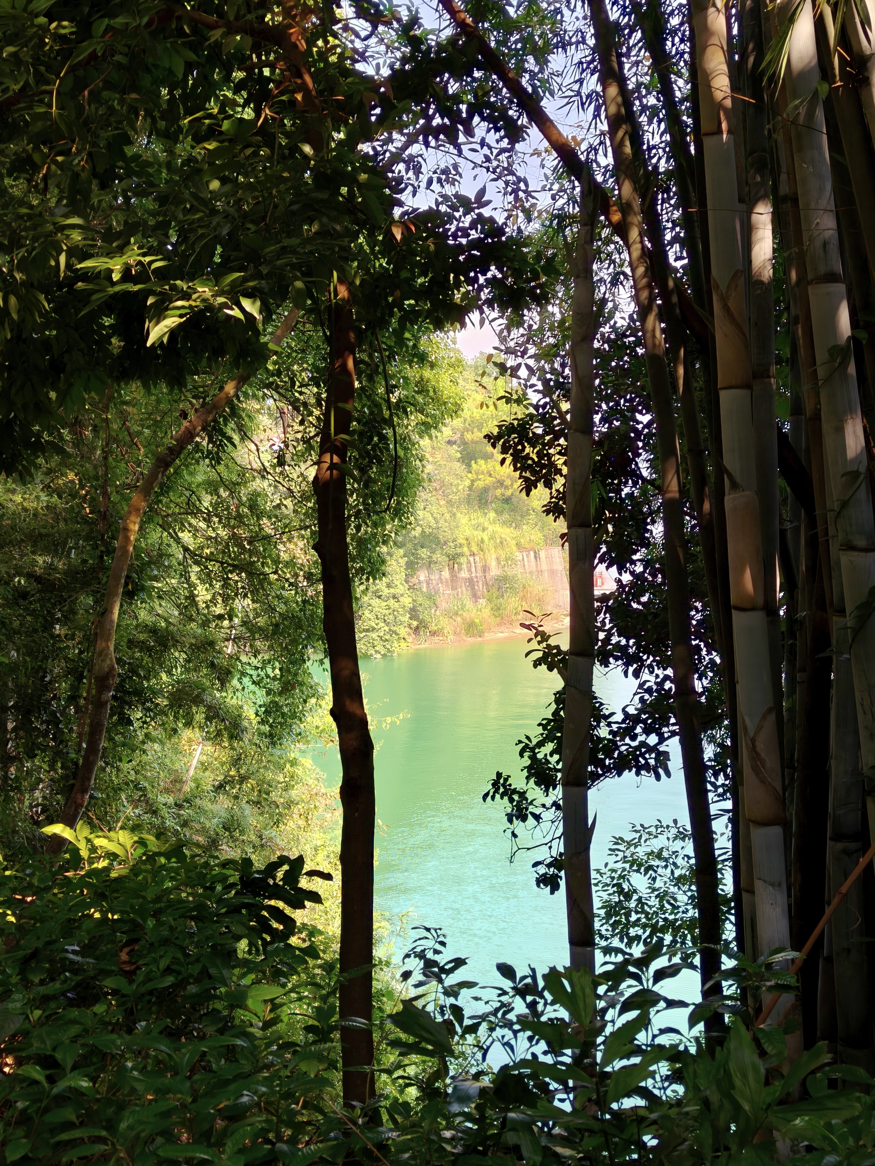 Turquoise lake water in the shade of trees