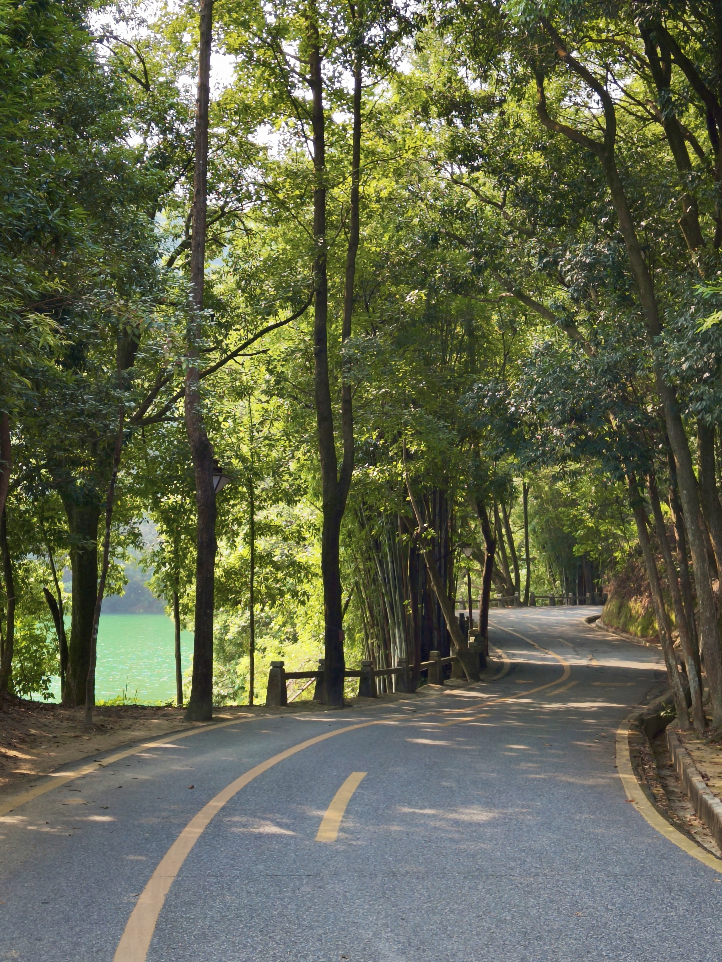 Sunlight filtering through trees onto a lakeside path