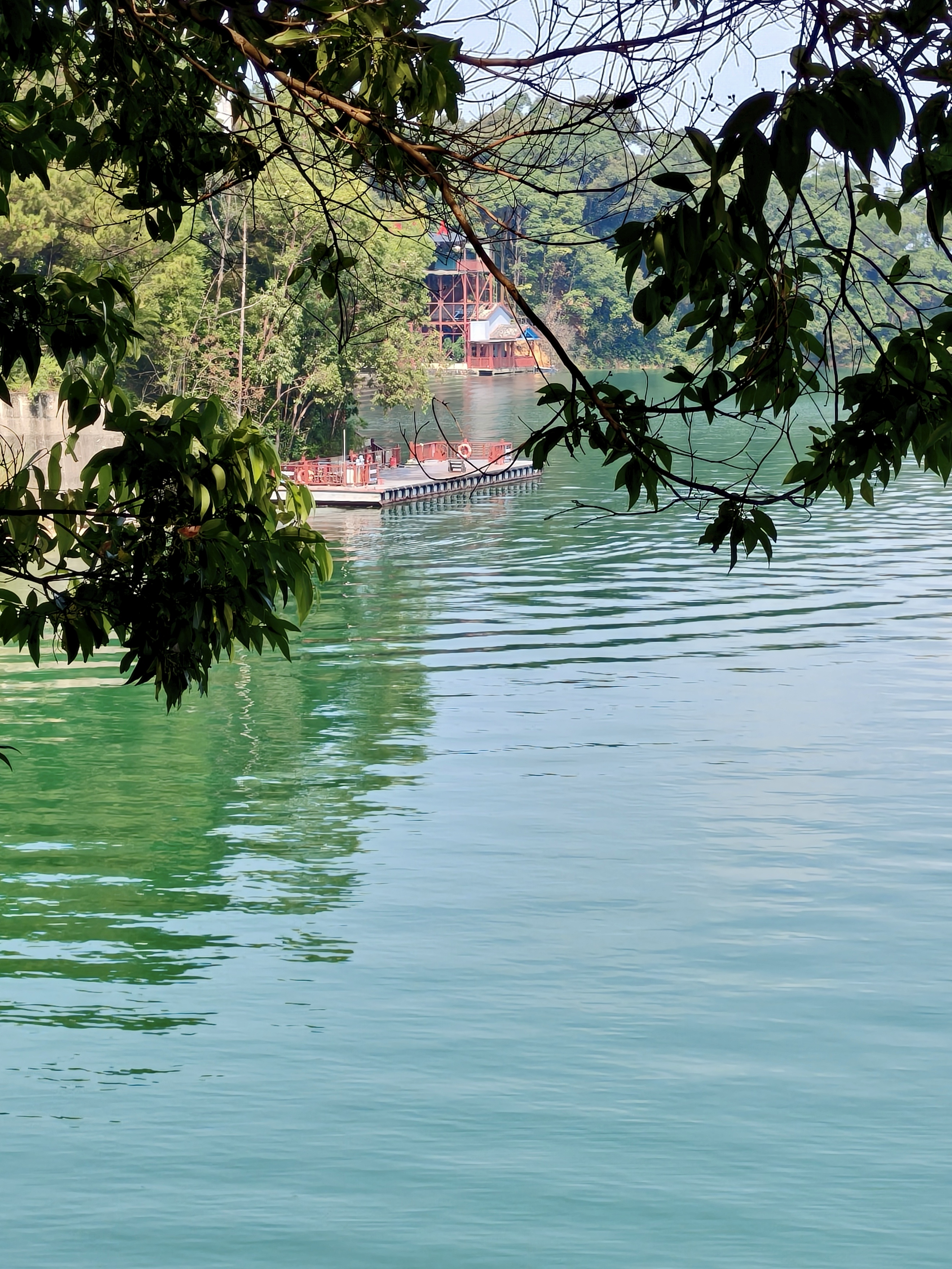Blue-green lake water beneath a canopy of trees