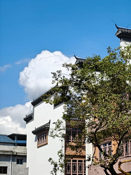 蓝天下的白墙建筑与树木