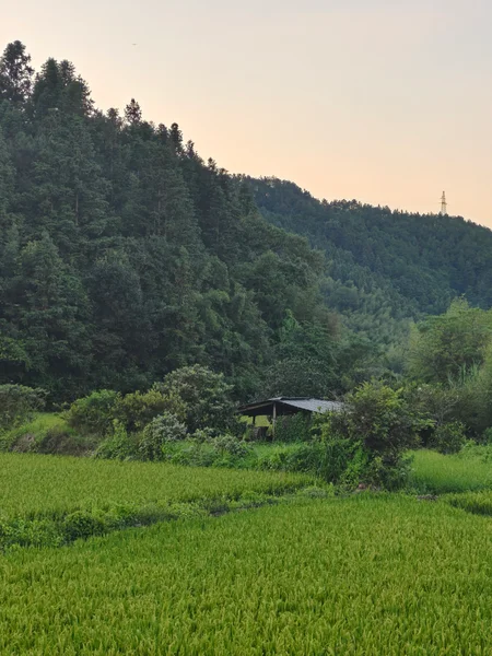 山脚下的翠绿田野