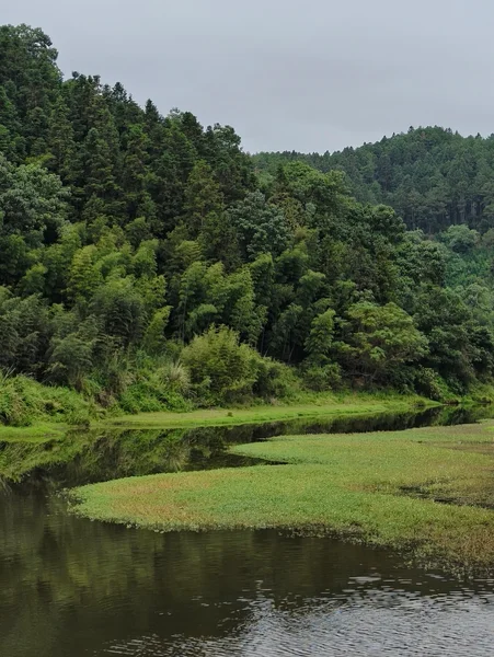 群山间的田地和林木