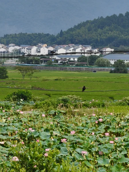 田野另一侧的村庄与山峦