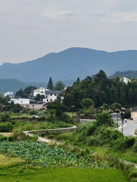 山下的田野与白色村舍