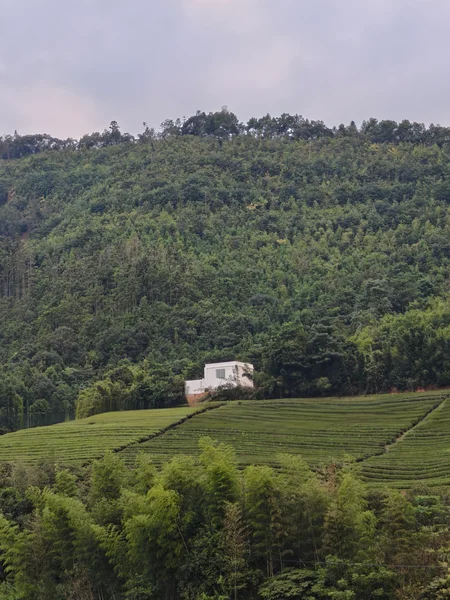山坡上的一间房屋