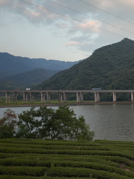 山脚下的建筑与田地