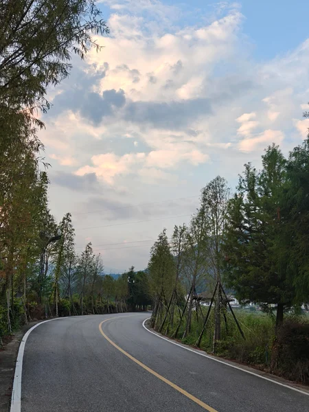 通往山间的公路与路旁树木