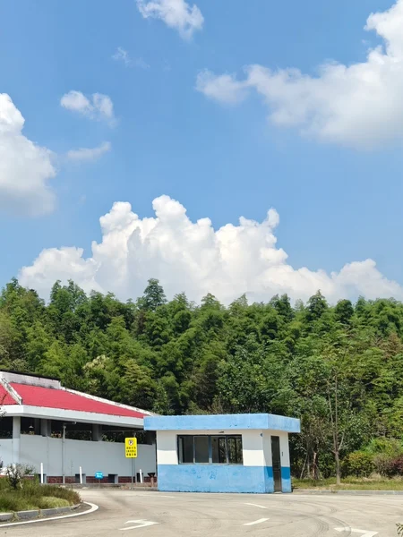 绿树上方的积云