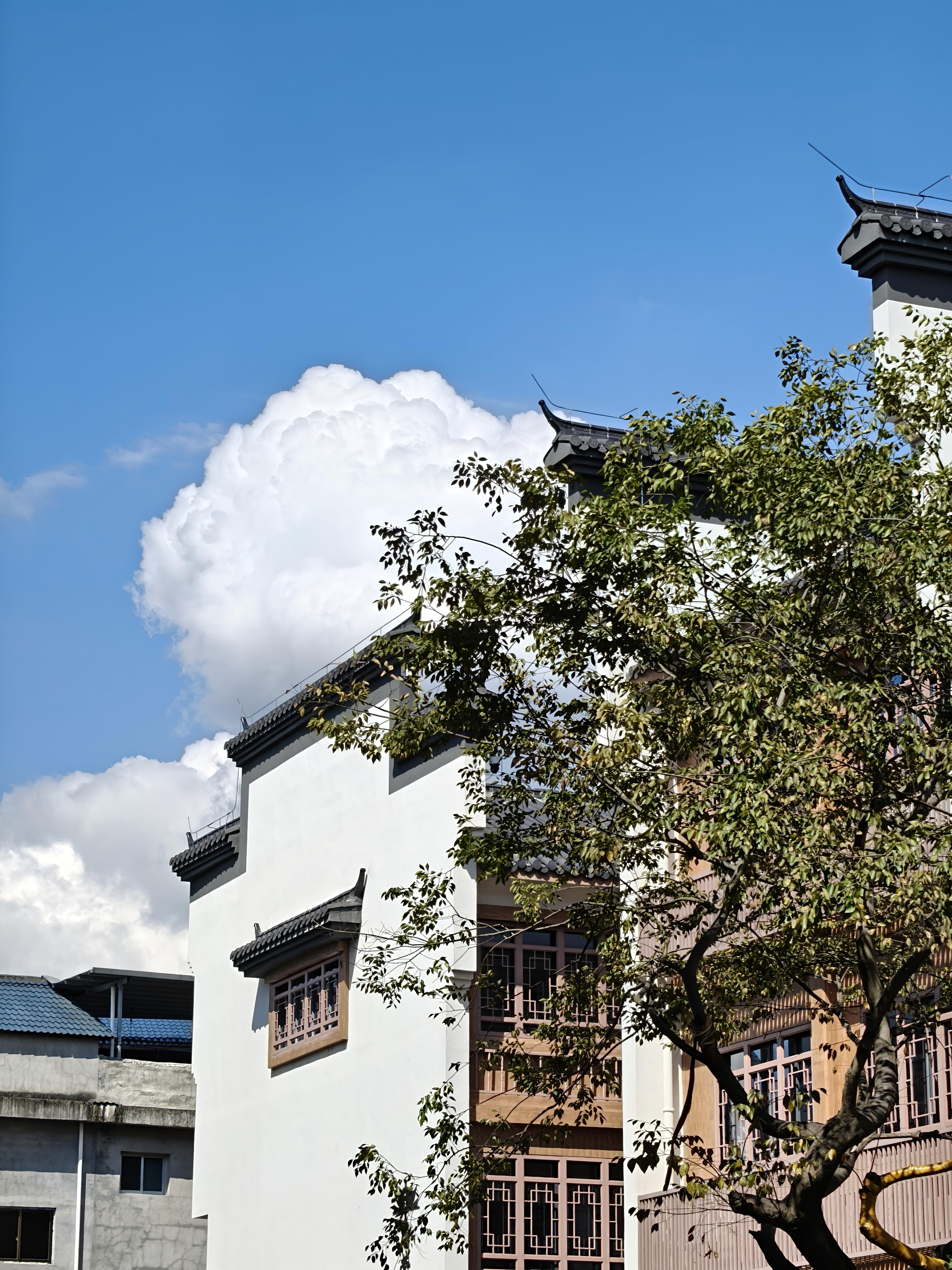 蓝天下的白墙建筑与树木