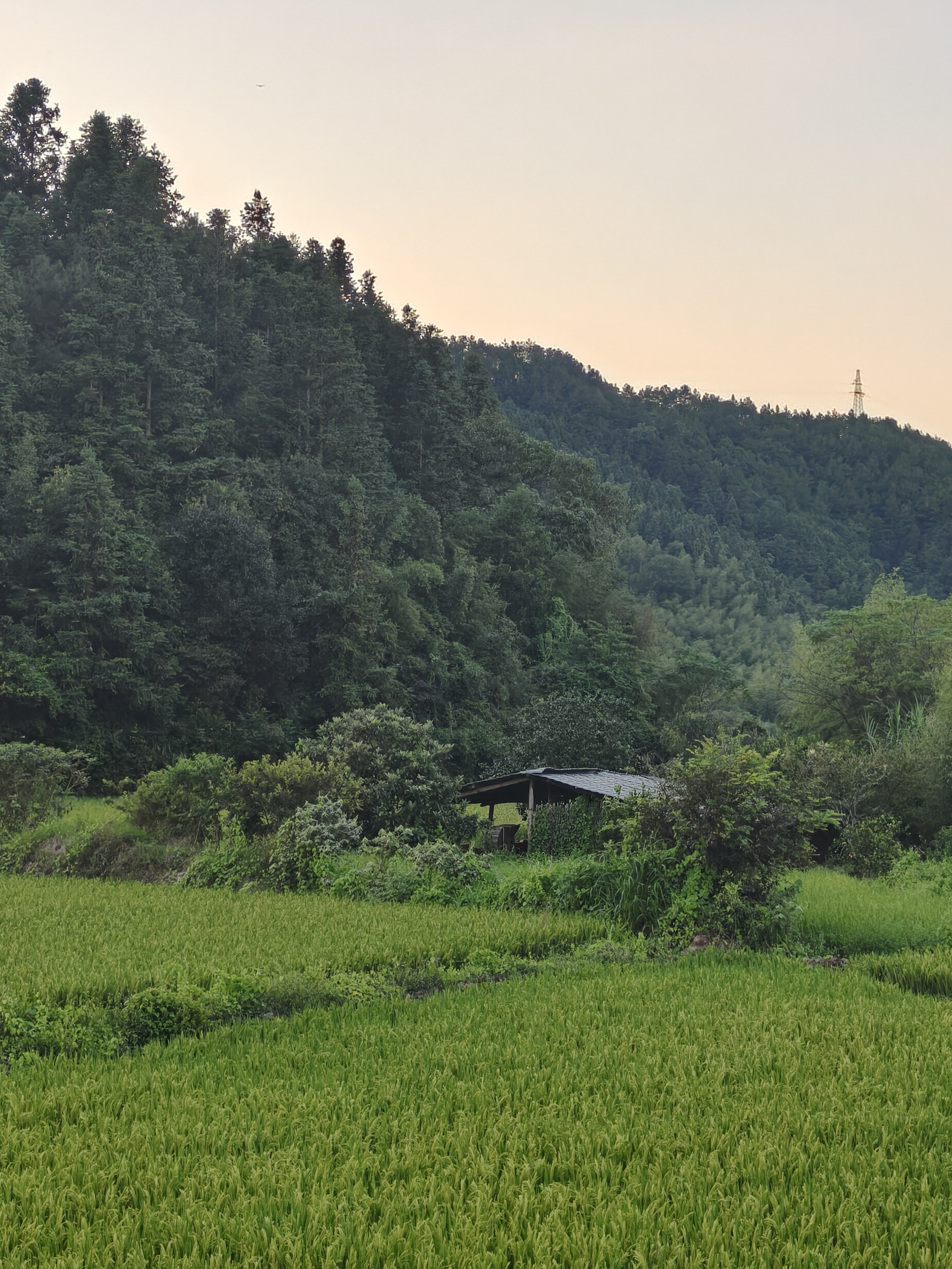 山脚下的翠绿田野