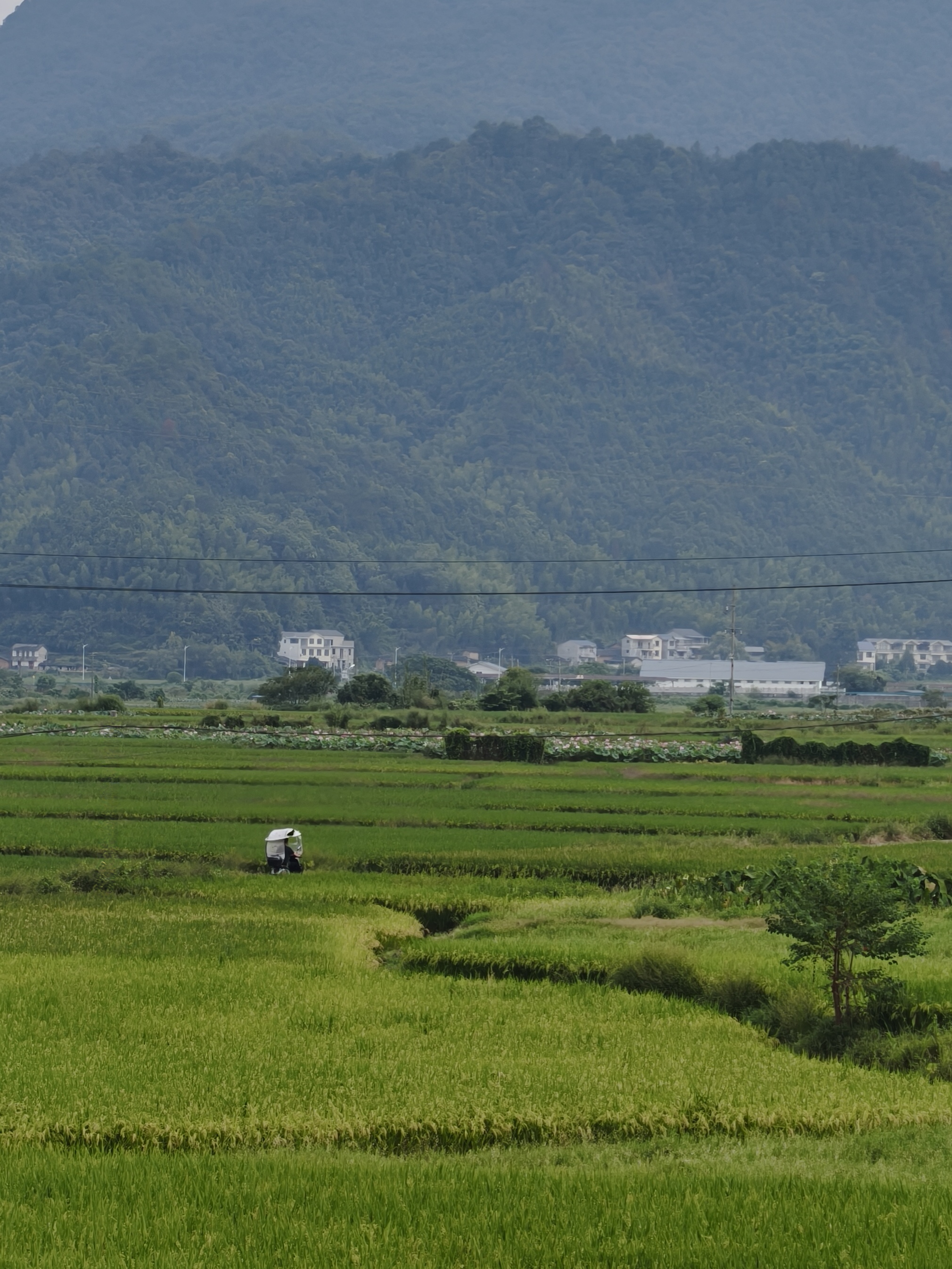山峦、田野与远处的村庄