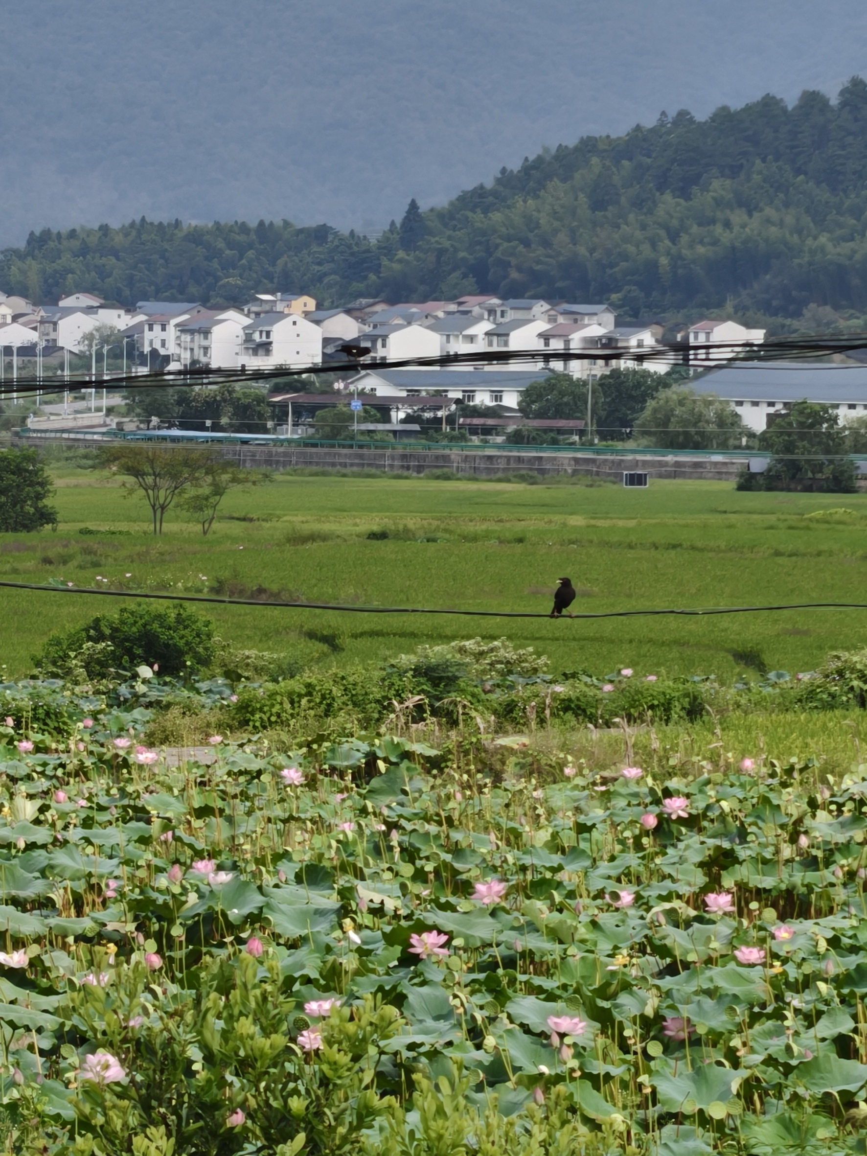 田野另一侧的村庄与山峦