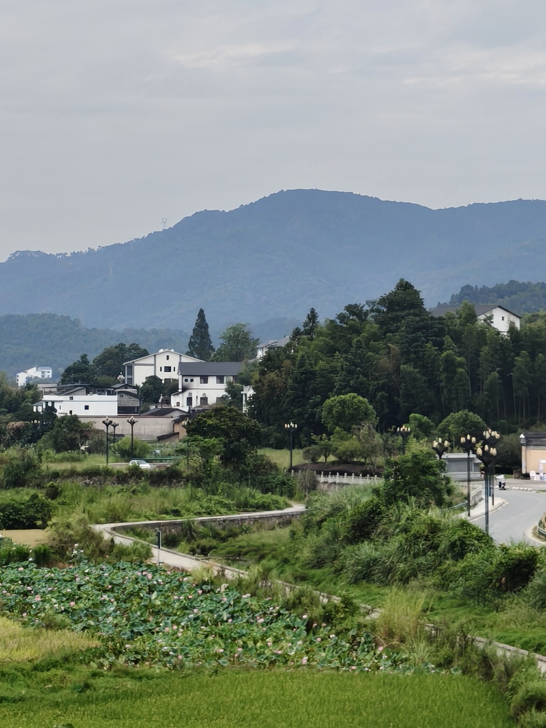 山下的田野与白色村舍