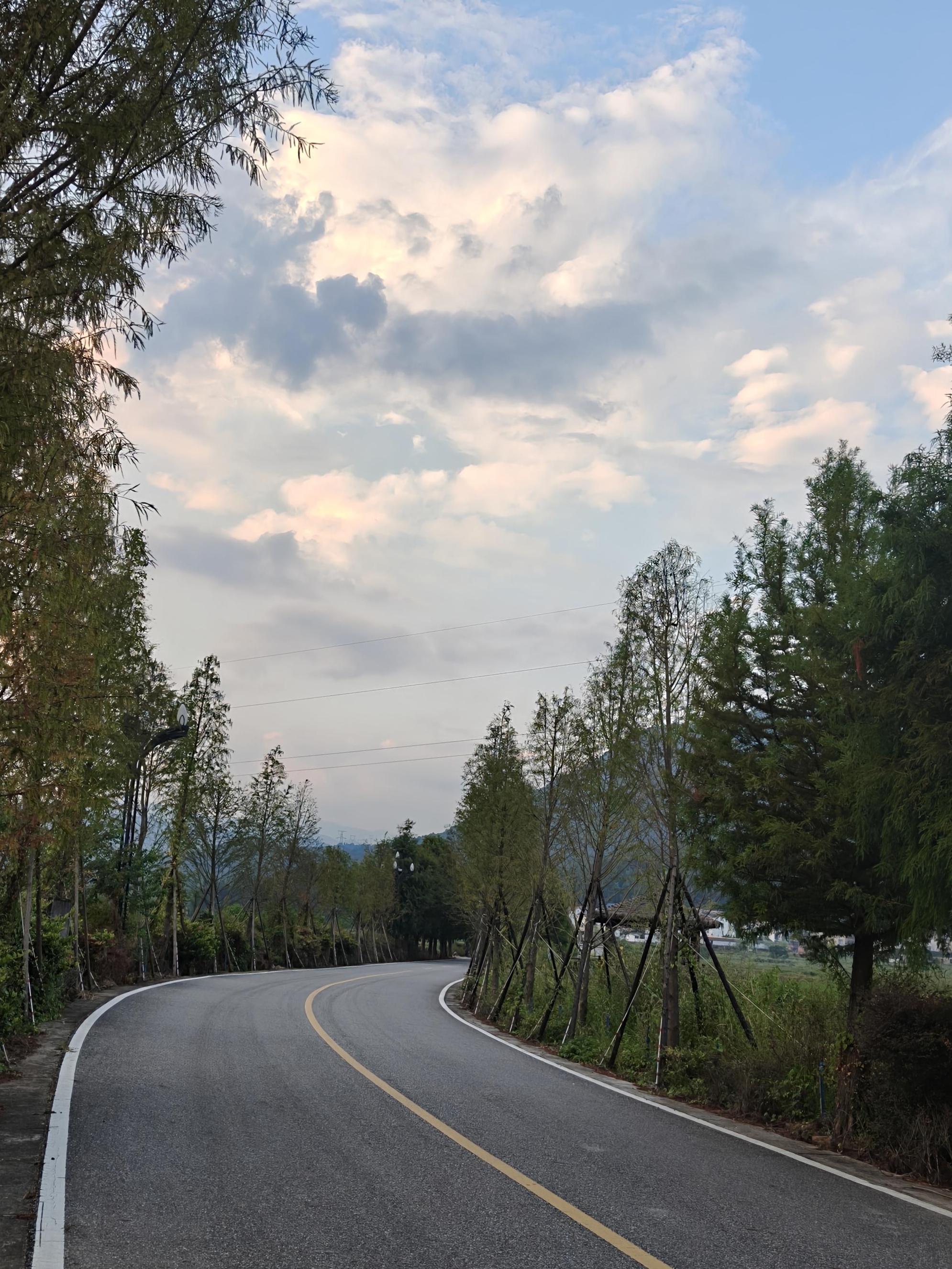 通往山间的公路与路旁树木